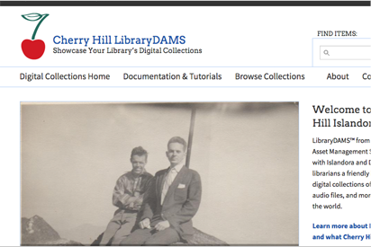 Screenshot of the front page of the Cherry Hill LibraryDams product.