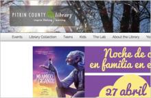 Close-up of the Pitkin Library homepage